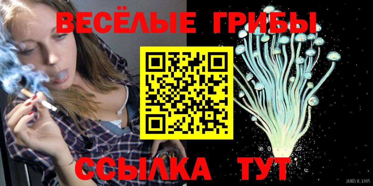 Сунжа  Галлюциногенные грибы прущие грибы  Вход с VPN 